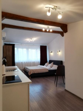 Cara Studio cu parcare - Cluj-Napoca zona Republicii